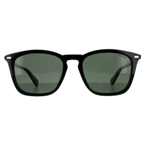 Sunglasses | Aviator Ruthenium Grey Gradient Polarized 6012/N/NEW Sunglasses | Polaroid