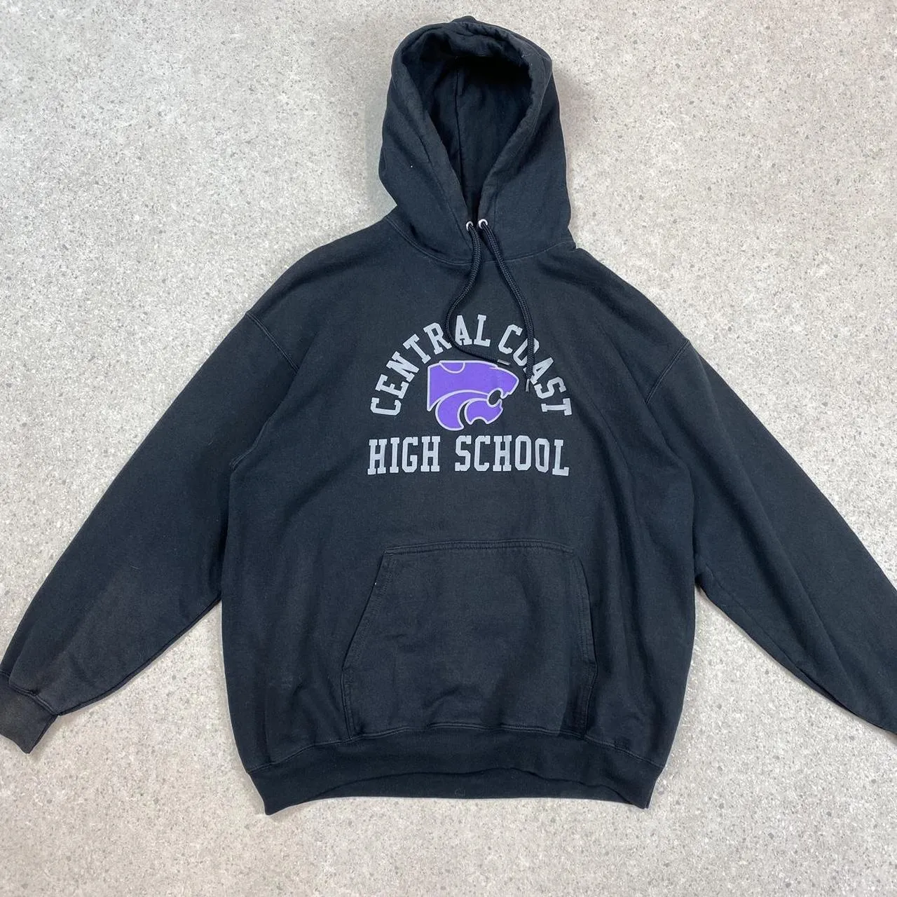 USA college hoodie large