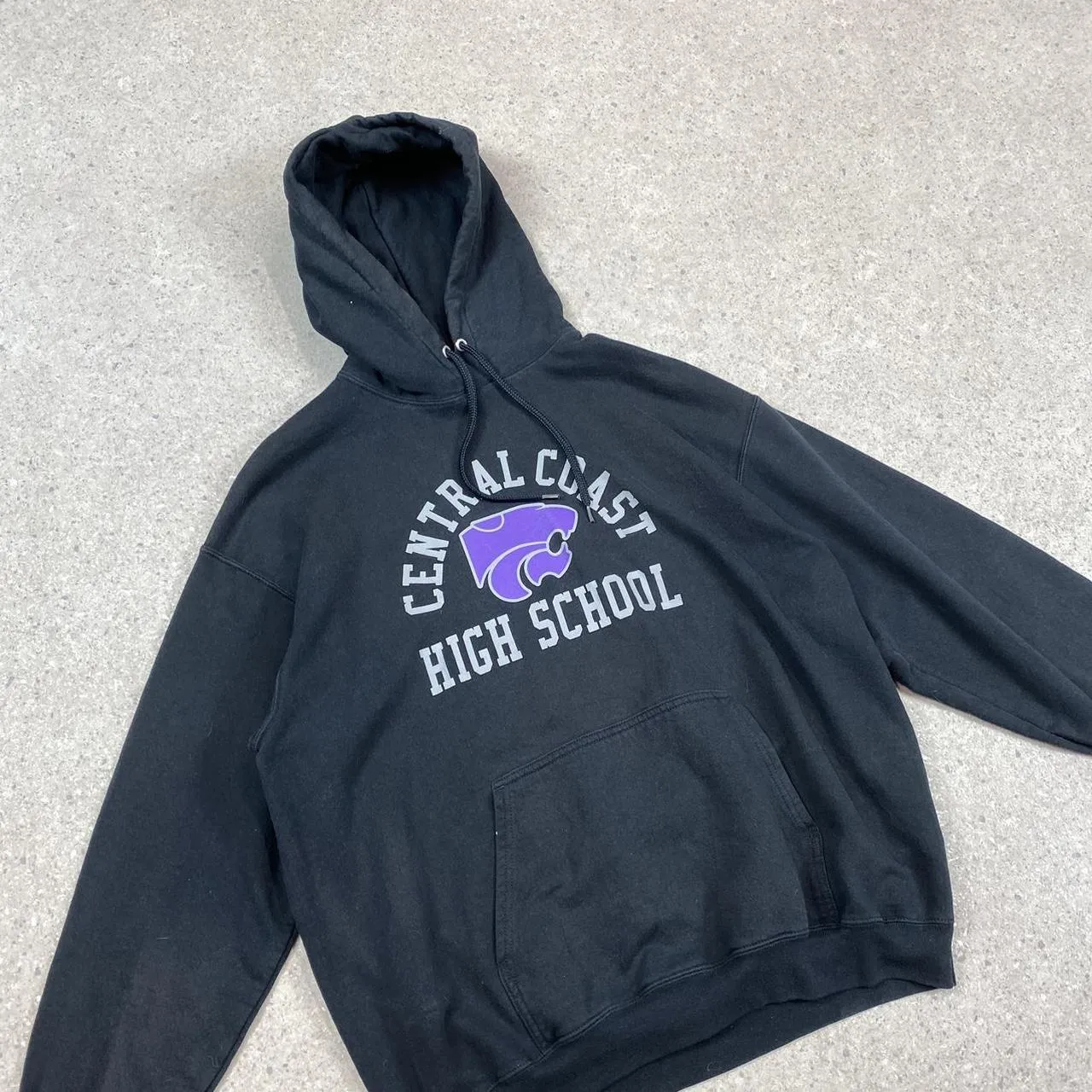 USA college hoodie large