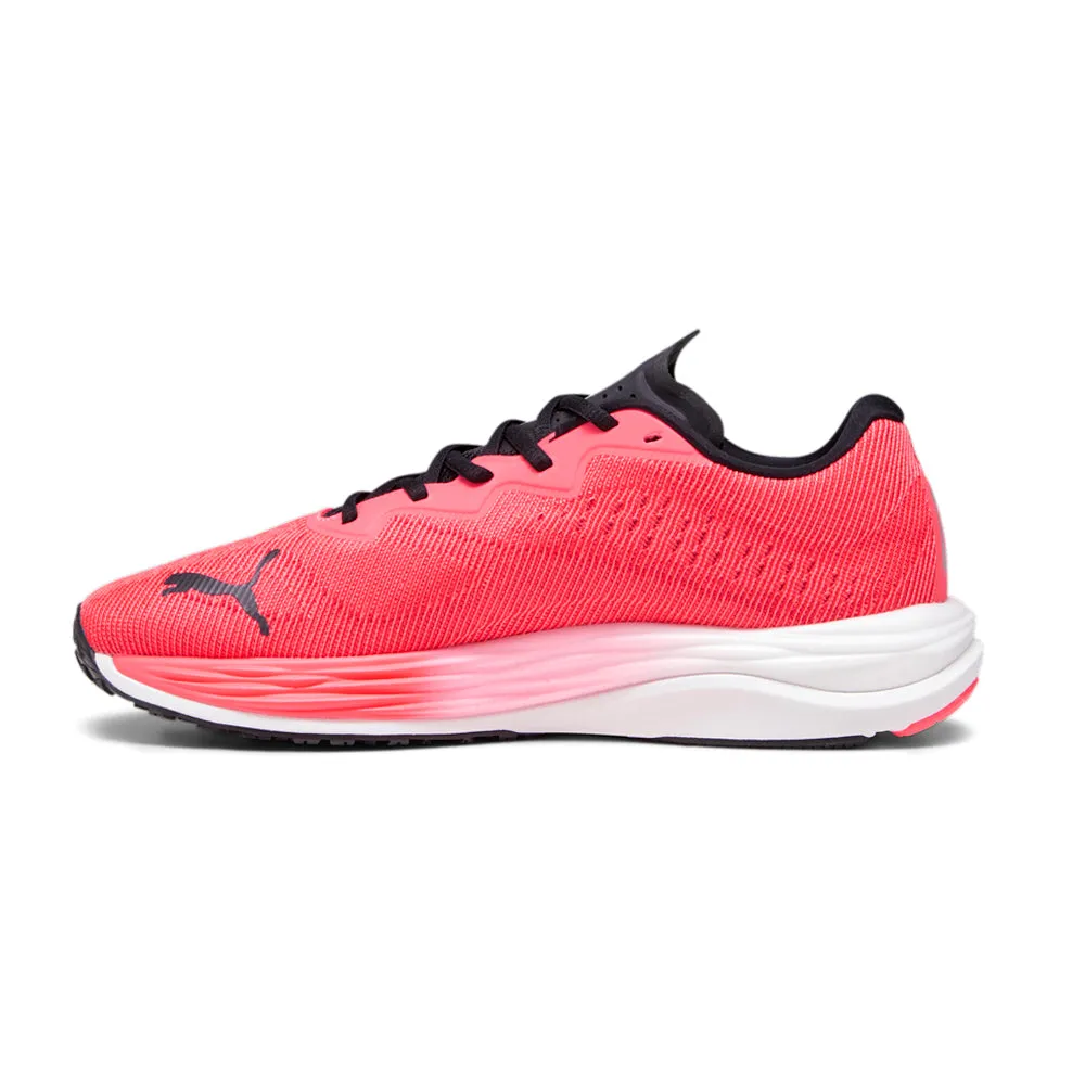 Velocity Nitro 2 Running Shoes